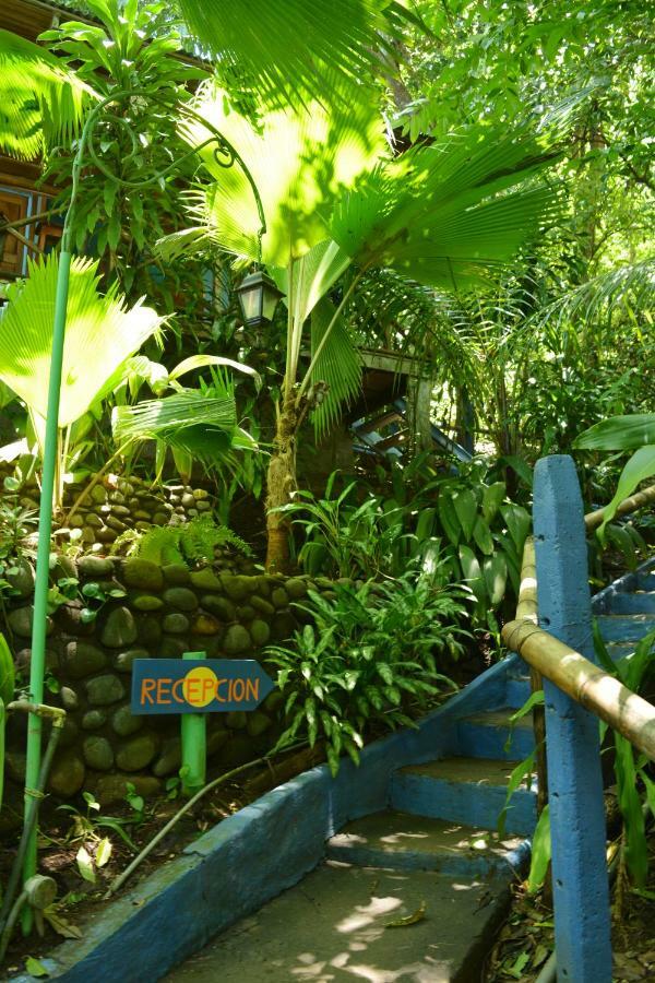 Hotel Luna Llena Nicoya Extérieur photo