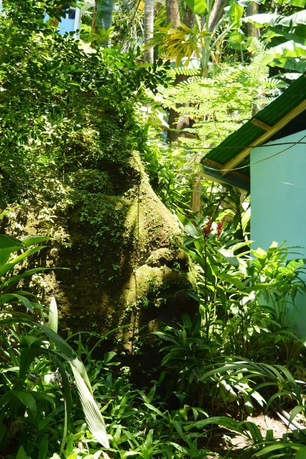 Hotel Luna Llena Nicoya Extérieur photo